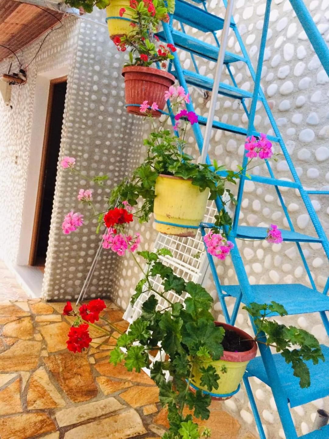 Relaxation Place Hotel Химар Екстериор снимка